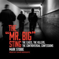 The__Mr__Big__Sting