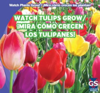 Watch_Tulips_Grow_____Mira_c__mo_crecen_los_tulipanes_