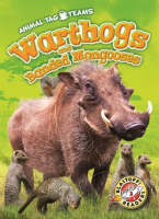 Warthogs_and_Banded_Mongooses