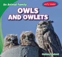 Owls_and_Owlets