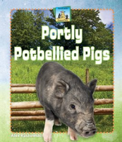 Portly_Potbellied_Pigs