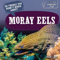 20_Things_You_Didn_t_Know_About_Moray_Eels