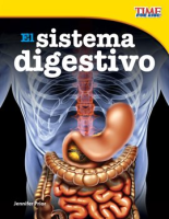 El_Sistema_Digestivo
