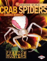 Crab_Spiders