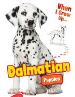 Dalmatian_Puppies