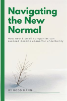 Navigating_the_New_Normal