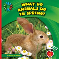 What_Do_Animals_Do_in_Spring_