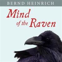 Mind_of_the_Raven