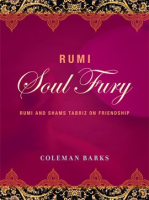 Rumi__Soul_Fury