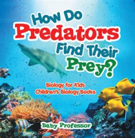 How_Do_Predators_Find_Their_Prey_