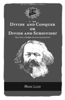 Divide_and_Conquer_or_Divide_and_Subdivide_