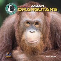 All_About_Asian_Orangutans