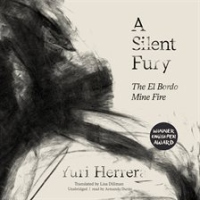 A_Silent_Fury