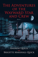 The_Adventures_of_the_Wayward_Star_and_Crew