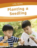 Planting_a_Seedling