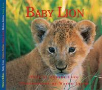 Baby_lion