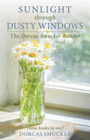 Sunlight_Through_Dusty_Windows