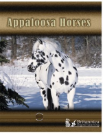 Appaloosa_Horses