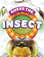 Guess_the_Insect