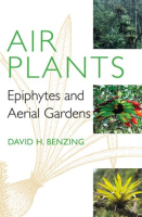 Air_Plants