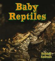 Baby_reptiles
