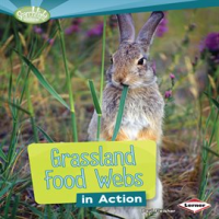 Grassland_Food_Webs_in_Action