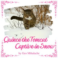 Quince_the_Tomcat_Captive_in_Snow