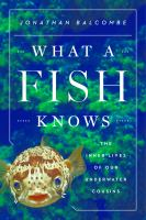 What_a_fish_knows