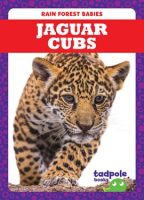 Jaguar_Cubs