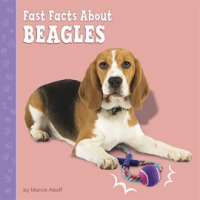 Fast_Facts_About_Beagles