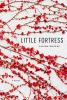 Little_fortress