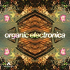 Organic_Electronica