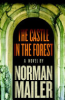 The_castle_in_the_forest