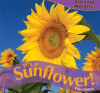 It_s_a_Sunflower_