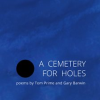 A_Cemetery_for_Holes
