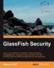 GlassFish_Security