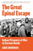 The_Great___pinal_Escape