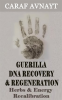Guerilla_DNA_Recovery_and_Regeneration__Herbs_and_Energy_Recalibration