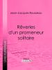 R__veries_d_un_promeneur_solitaire