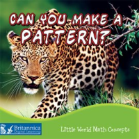 Can_You_Make_a_Pattern_