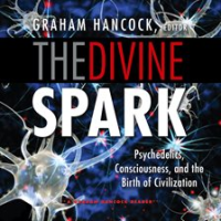 The_Divine_Spark