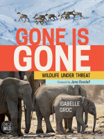 Gone_is_Gone