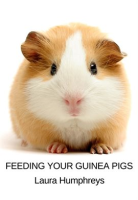 Feeding_Your_Guinea_Pigs
