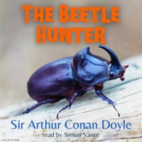 The_Beetle-Hunter