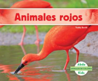 Animales_rojos__Red_Animals_