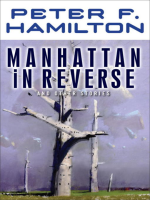 Manhattan_in_Reverse