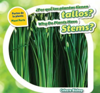 __Por_qu___las_plantas_tienen_tallos____Why_Do_Plants_Have_Stems_